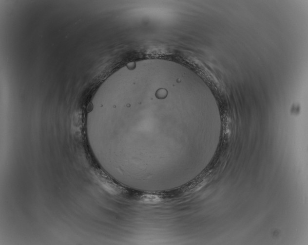 X0000093730519200711061004