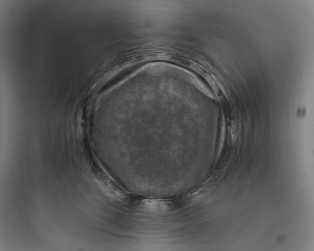 X0000093730520200711061004