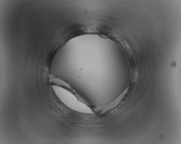 X0000093730521200711061004