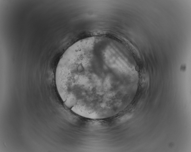 X0000093730523200711061004