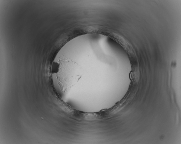 X0000093730525200711061004