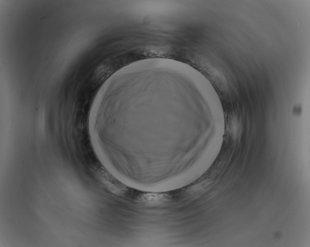 X0000093730526200711061003