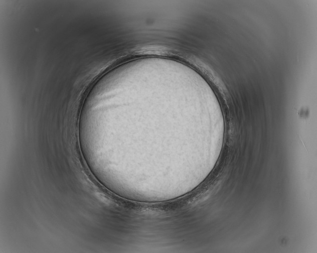 X0000093730529200711061003