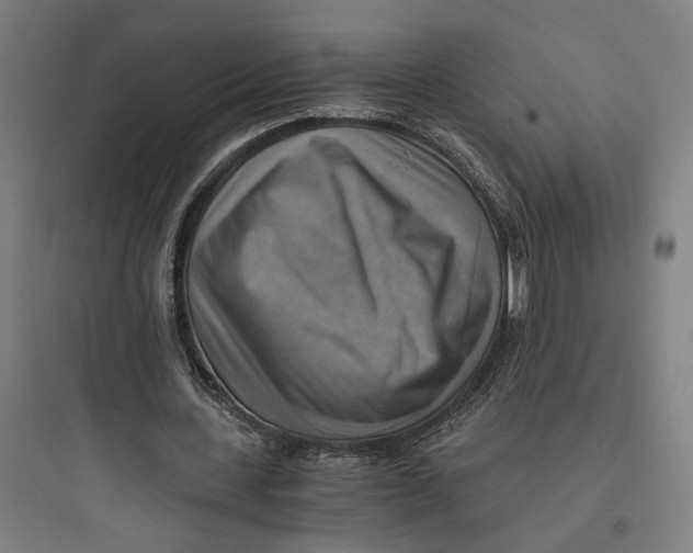 X0000093730531200711061003