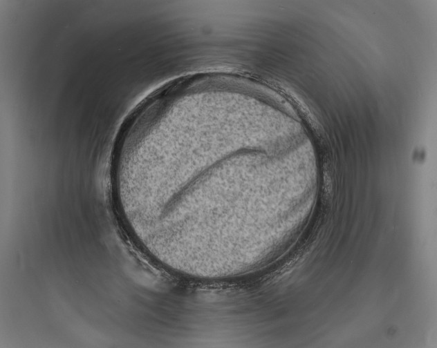 X0000093730532200711061003