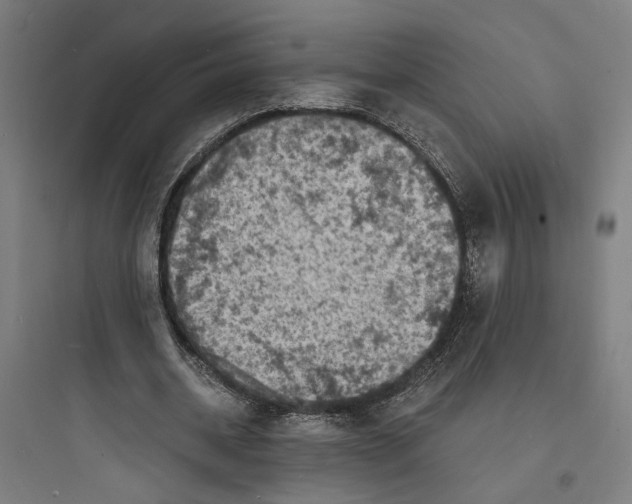 X0000093730534200711061003