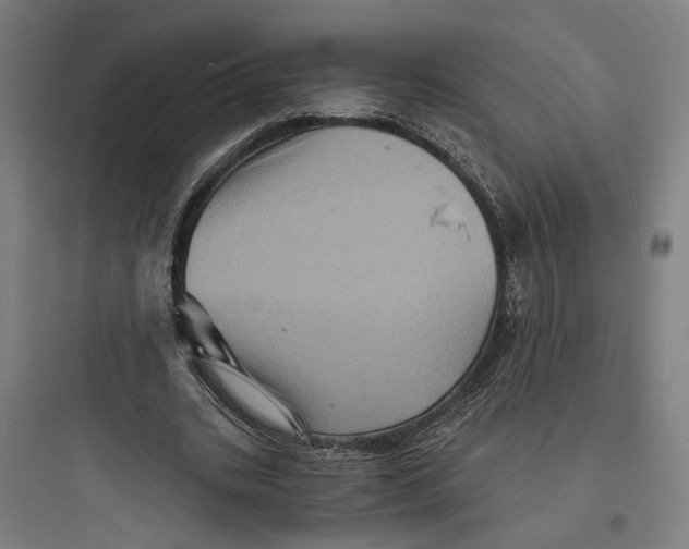 X0000093730535200711061003