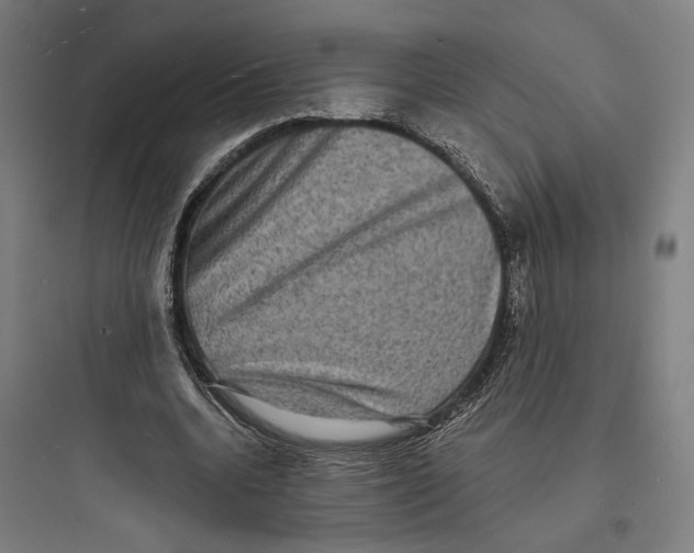 X0000093730536200711061003