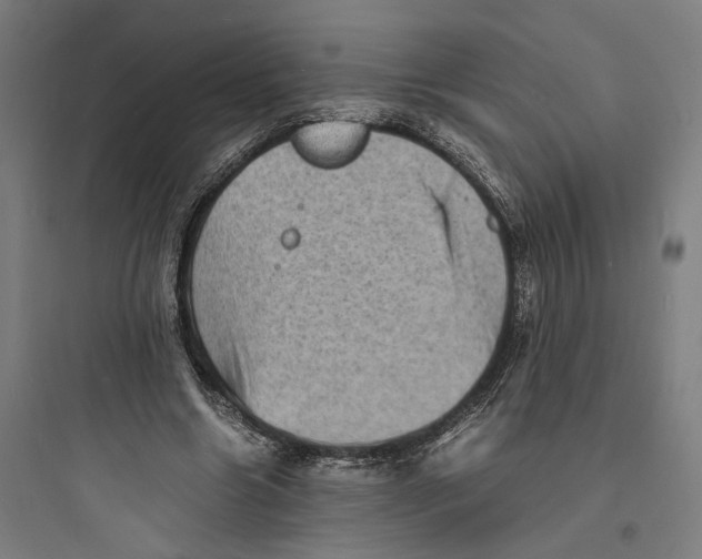 X0000093730538200711061003