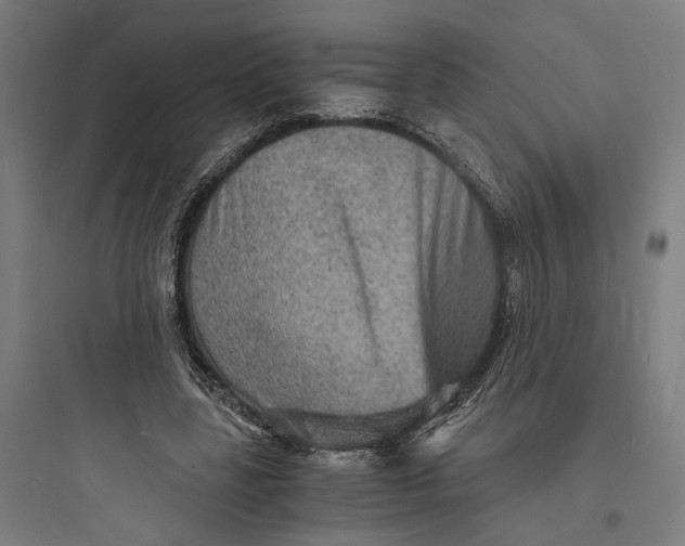 X0000093730539200711061003