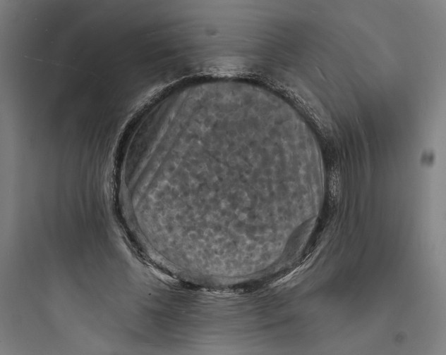 X0000093730540200711061003