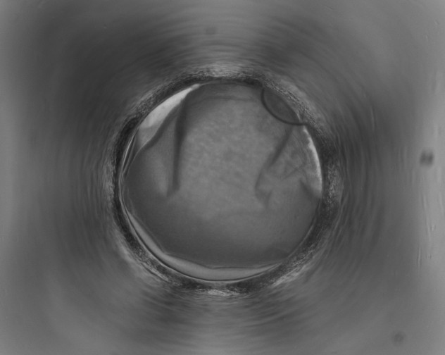 X0000093730542200711061003