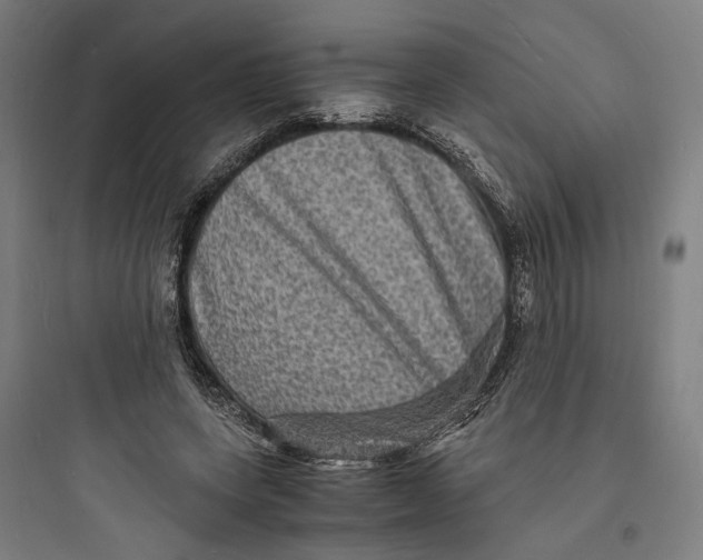 X0000093730543200711061003