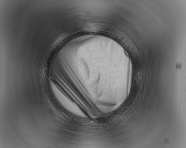 X0000093730544200711061003