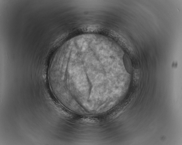 X0000093730545200711061003