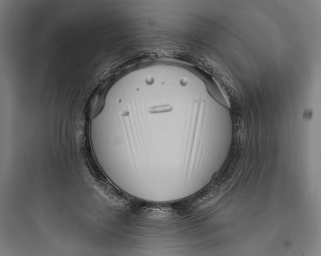 X0000093730548200711061003