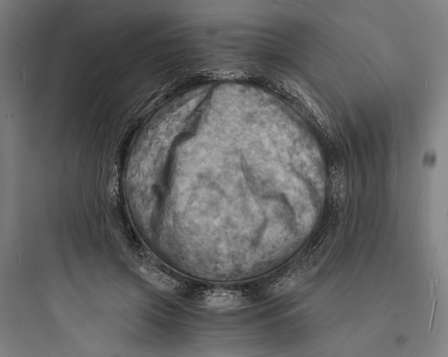 X0000093730549200711061003