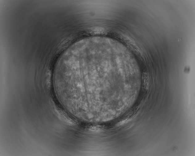 X0000093730550200711061003