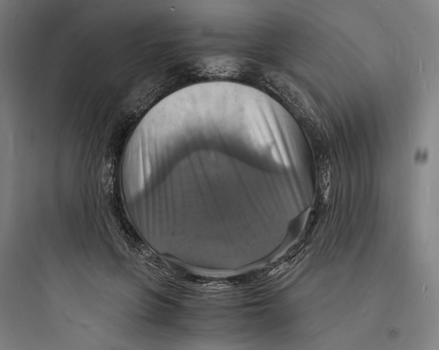 X0000093730551200711061003