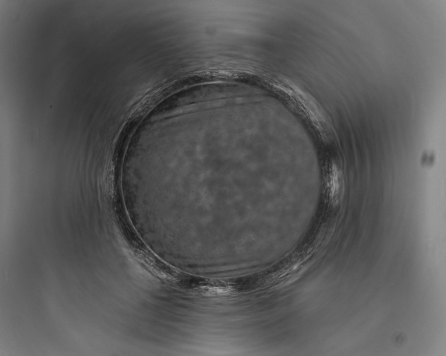 X0000093730552200711061003