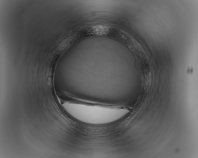 X0000093730553200711061003