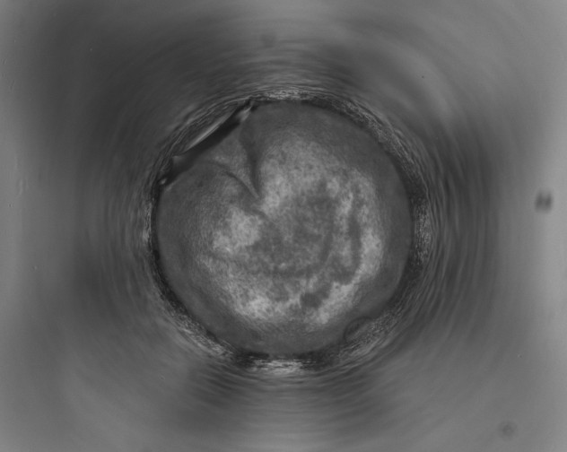 X0000093730554200711061003