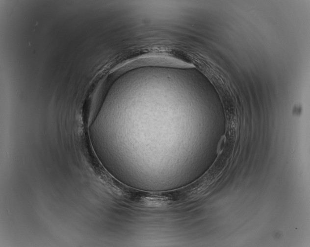 X0000093730556200711061003