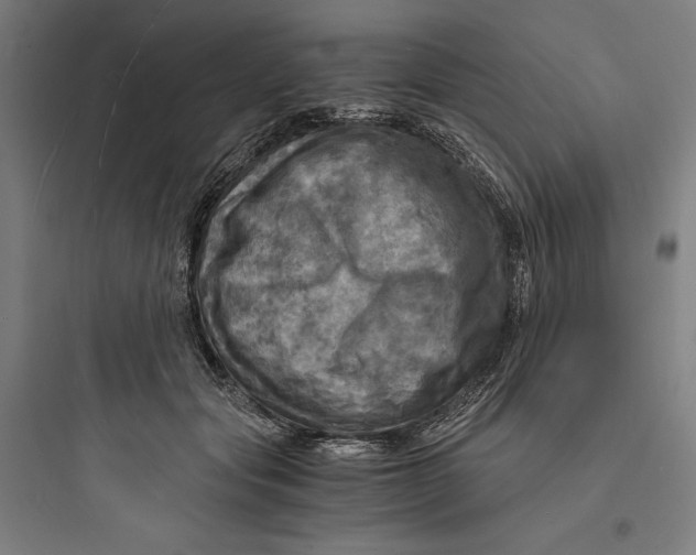 X0000093730557200711061003