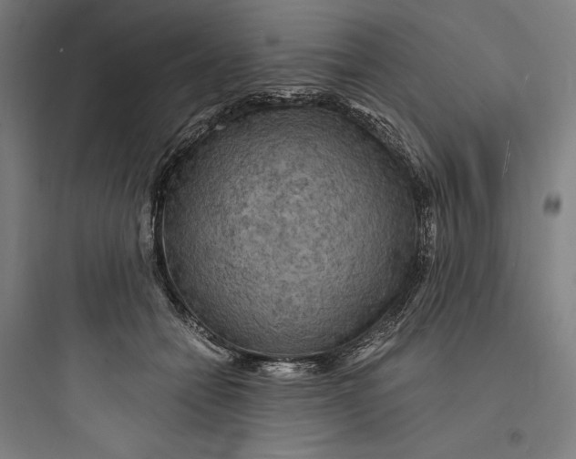 X0000093730558200711061003