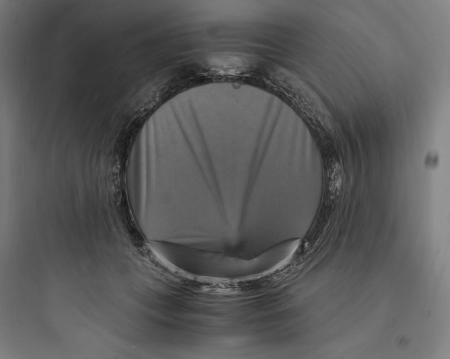 X0000093730559200711061003