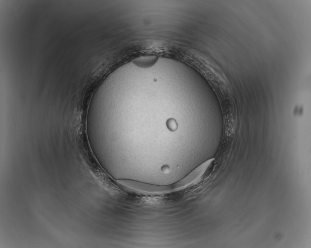 X0000093730560200711061003