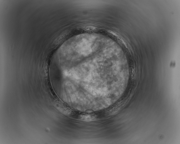 X0000093730561200711061003