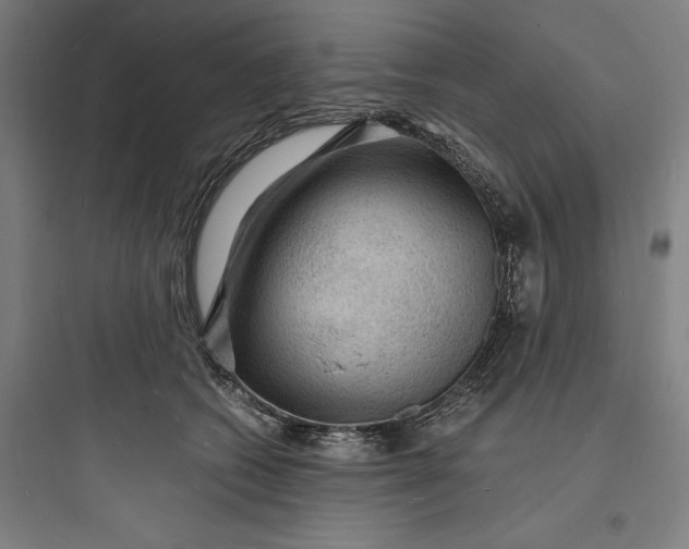 X0000093730562200711061003