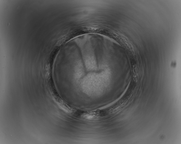 X0000093730563200711061003