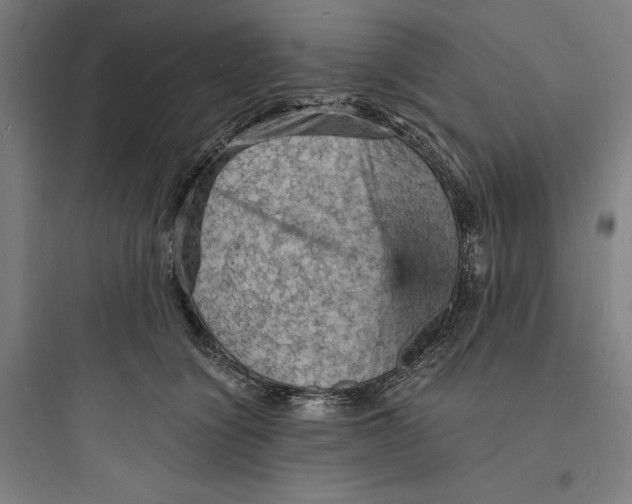 X0000093730564200711061003