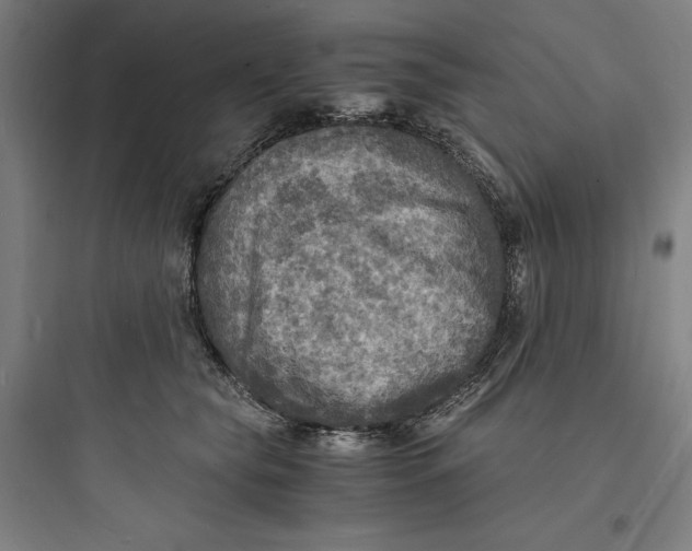 X0000093730565200711061003