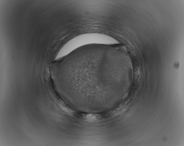 X0000093730566200711061003