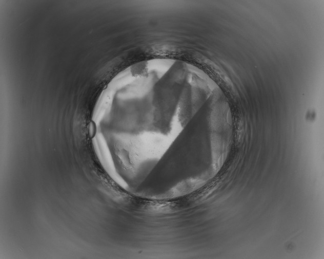 X0000093730569200711061003