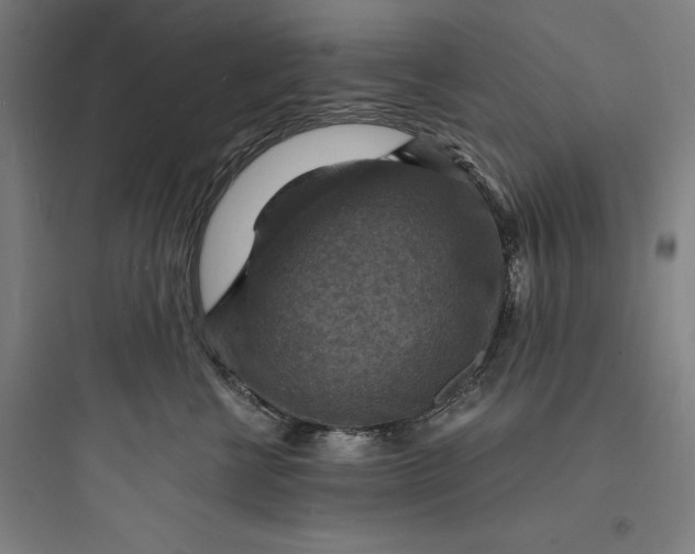 X0000093730570200711061003