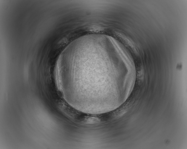 X0000093730572200711061003