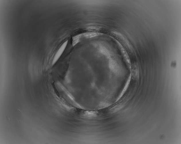 X0000093730573200711061003