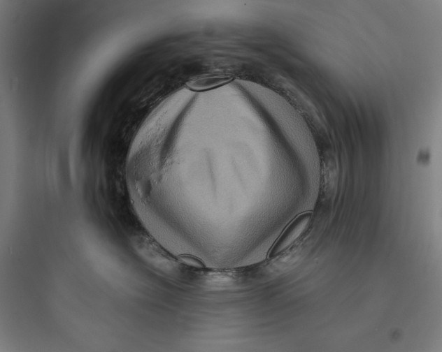 X0000093730574200711061003