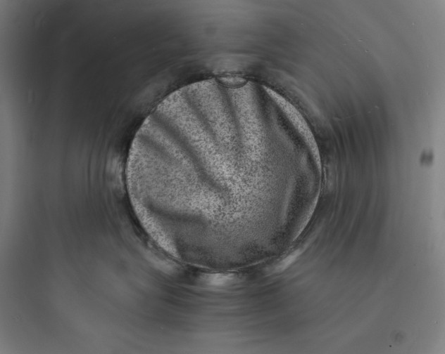 X0000093730575200711061003