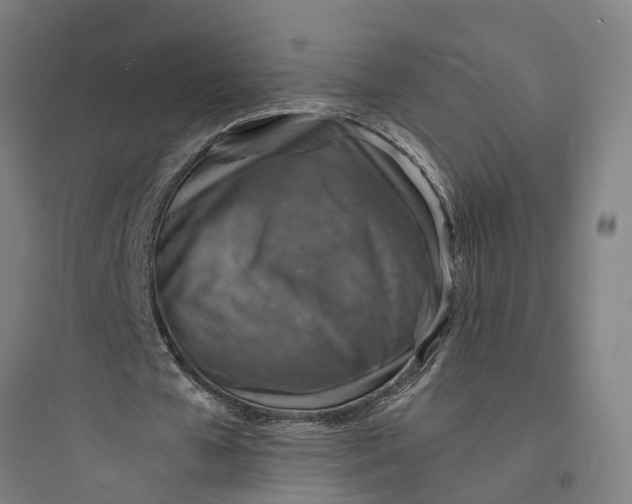 X0000093730577200711061003