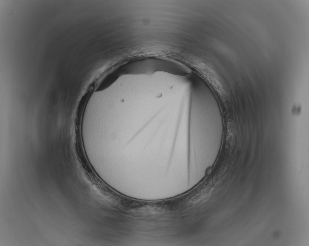 X0000093730578200711061003