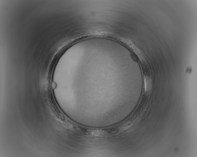 X0000093730579200711061003