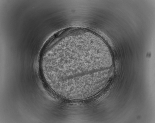 X0000093730580200711061003