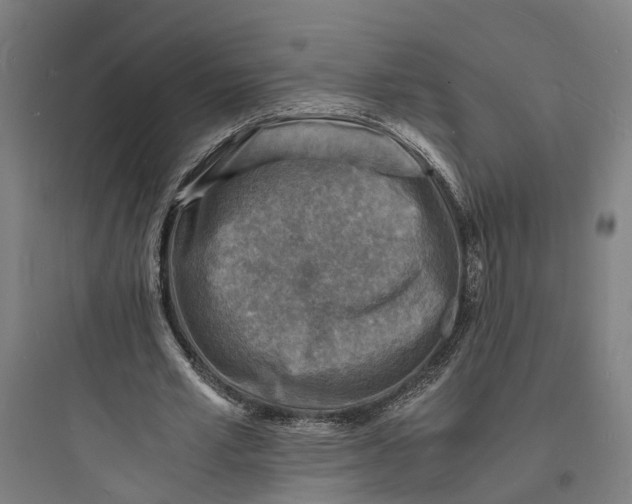 X0000093730581200711061003