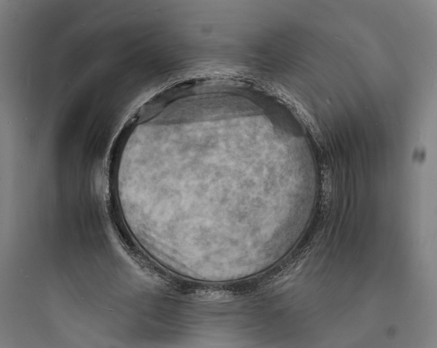 X0000093730582200711061003