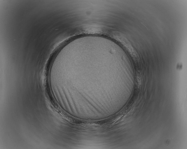 X0000093730583200711061003